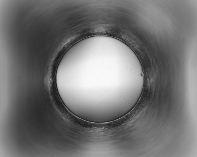 X0000093450728200710261100