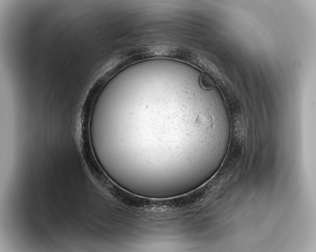 X0000093450730200710261100