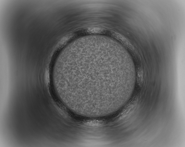 X0000093450734200710261100