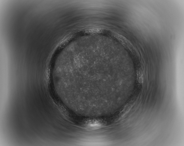 X0000093450735200710261100