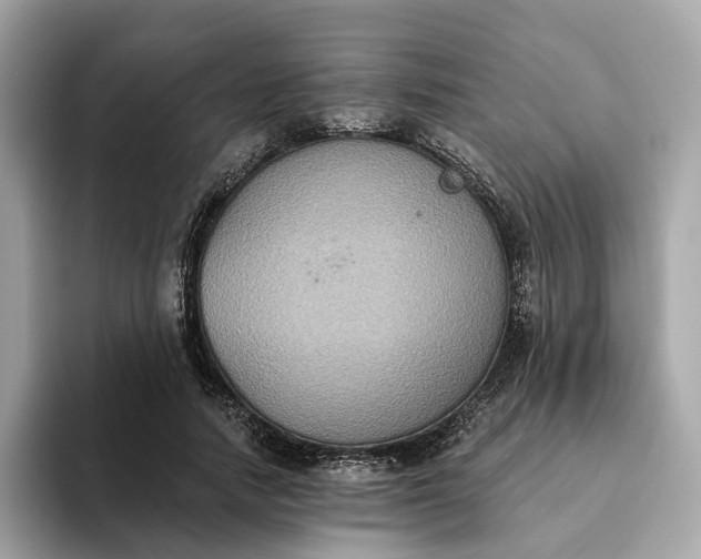 X0000093450738200710261100