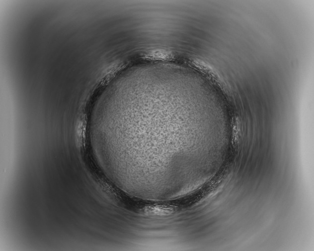 X0000093450739200710261100