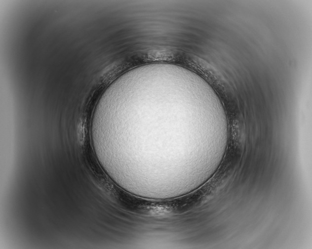 X0000093450741200710261100