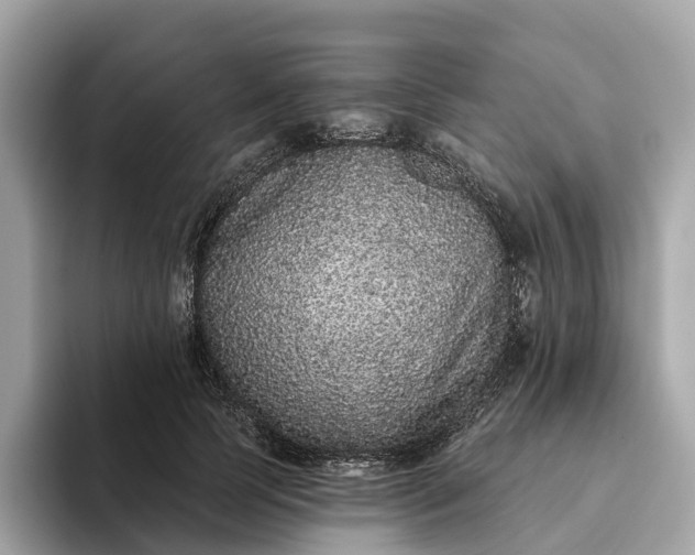 X0000093450745200710261101