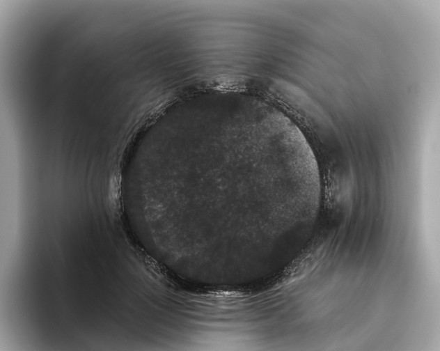 X0000093450748200710261101