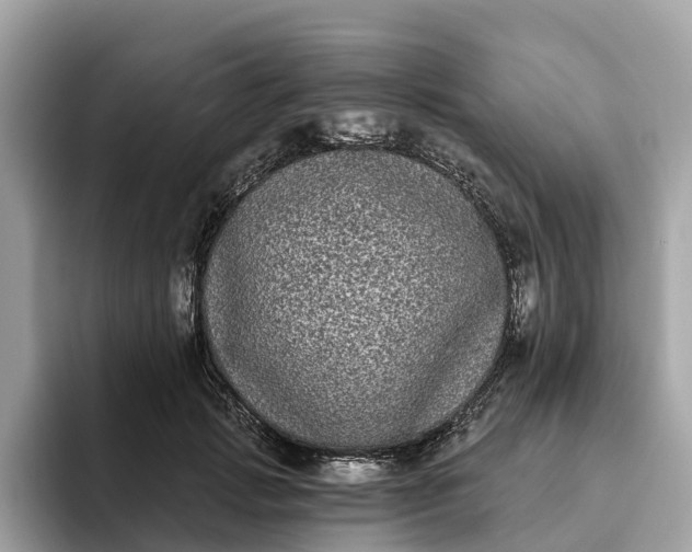 X0000093450749200710261101