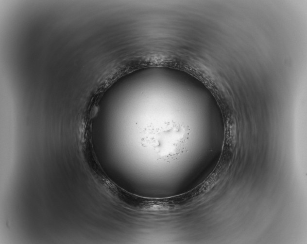 X0000093450750200710261101