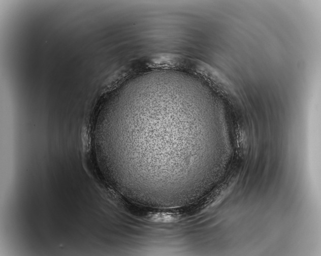 X0000093450751200710261101