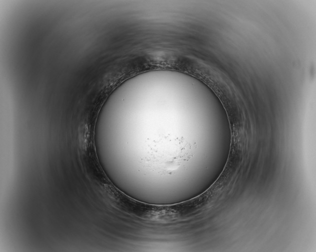 X0000093450752200710261101