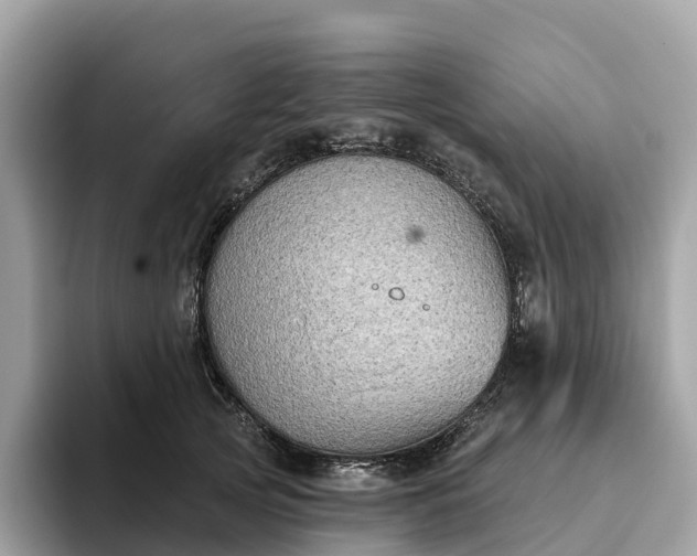 X0000093450753200710261101