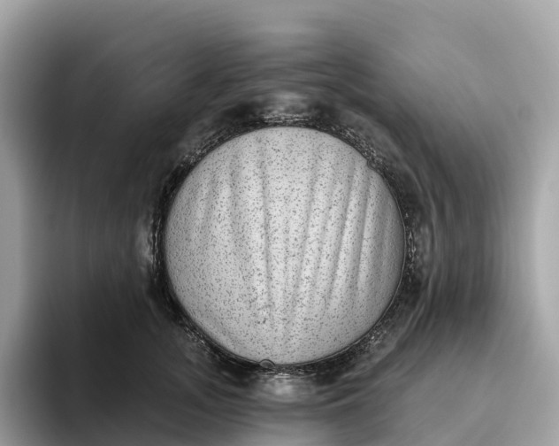 X0000093450755200710261101