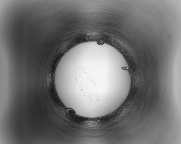 X0000093450756200710261101