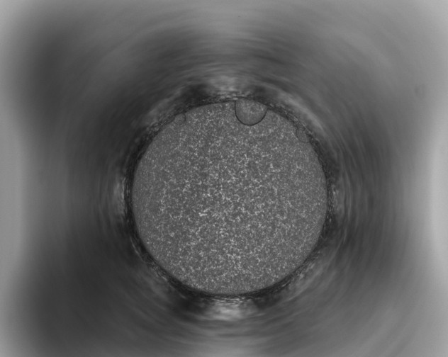 X0000093450757200710261101