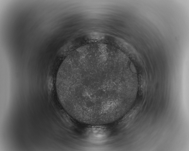 X0000093450758200710261101