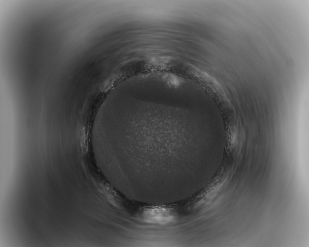 X0000093450759200710261101