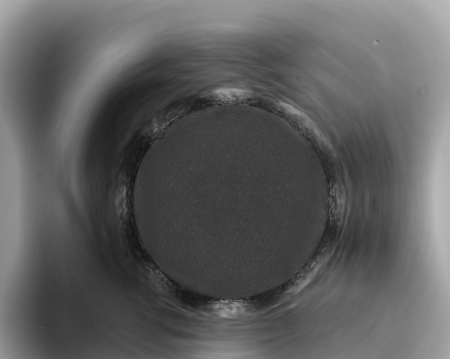 X0000093450762200710261101