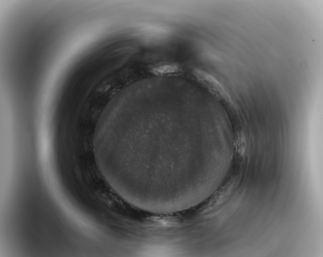 X0000093450763200710261101