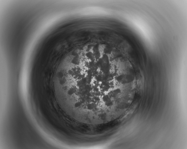 X0000093450765200710261101