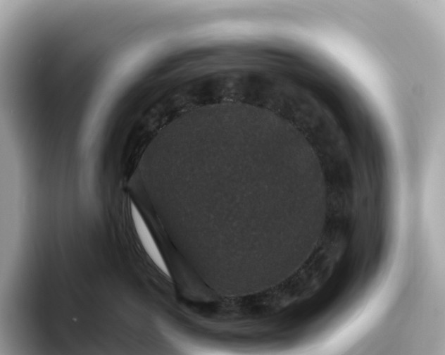 X0000093450766200710261101