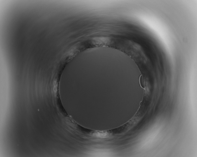 X0000093450767200710261101