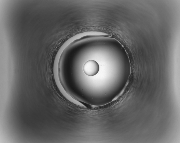 X0000093450769200710261100