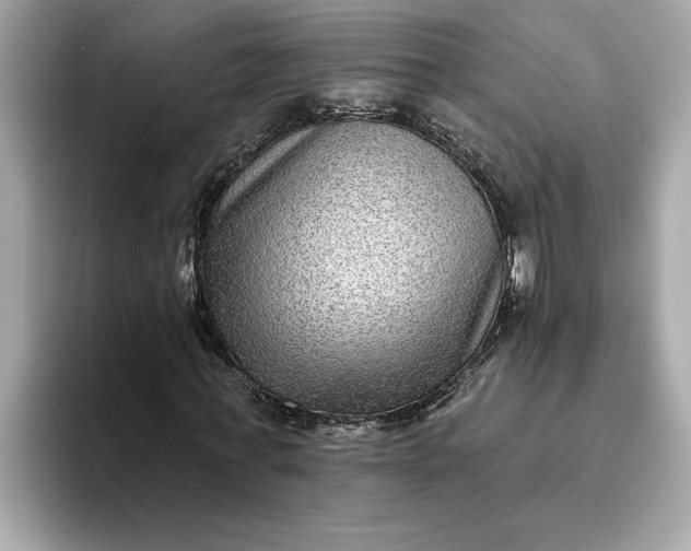 X0000093450771200710261100