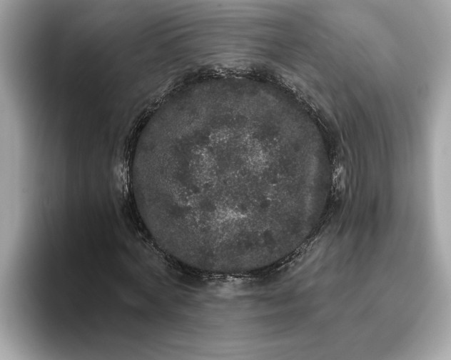 X0000093450772200710261100