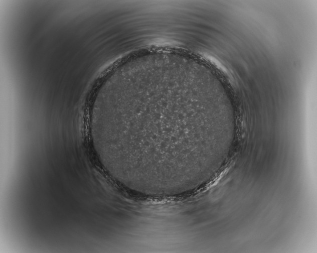 X0000093450775200710261100