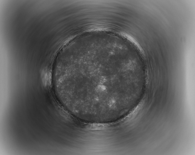 X0000093450777200710261100