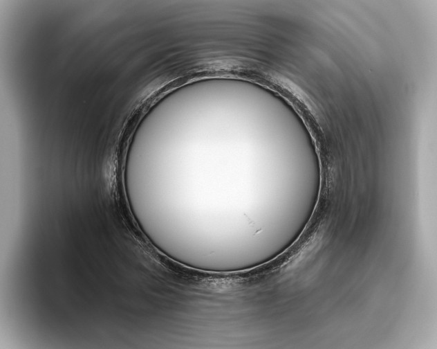 X0000093450778200710261100