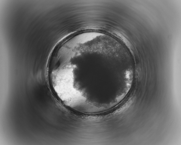 X0000093450779200710261100