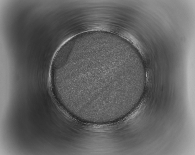 X0000093450780200710261100