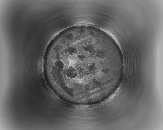 X0000093450783200710261100