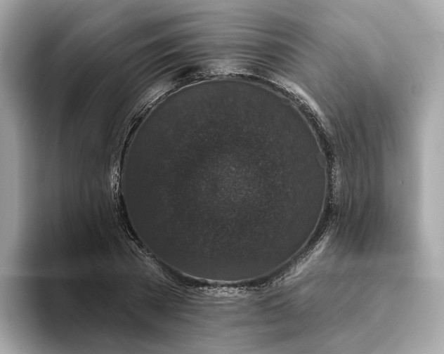 X0000093450785200710261100