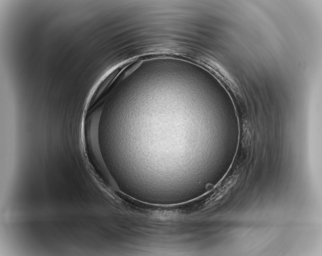 X0000093450788200710261100