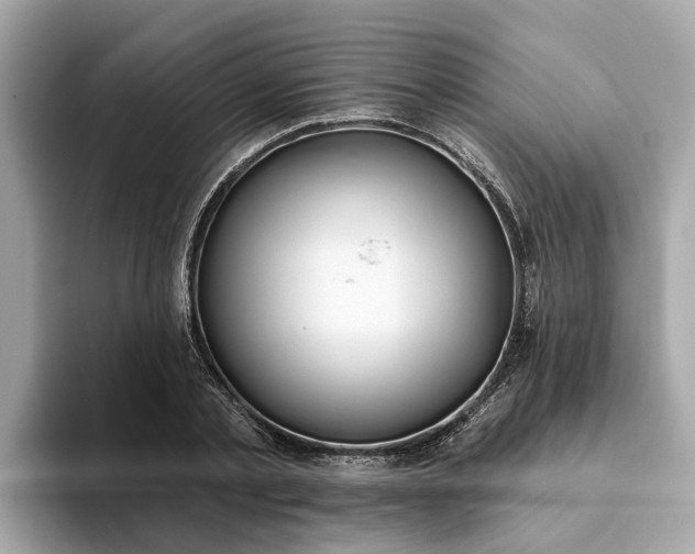 X0000093450789200710261100