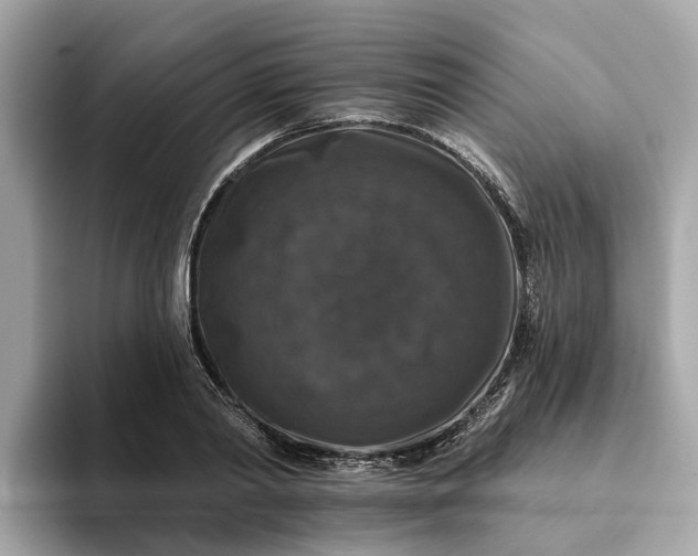 X0000093450790200710261100