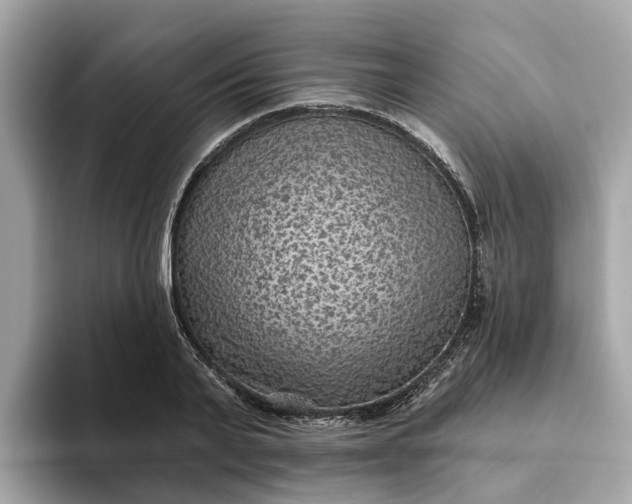 X0000093450791200710261100