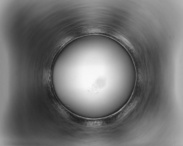 X0000093450793200710261100