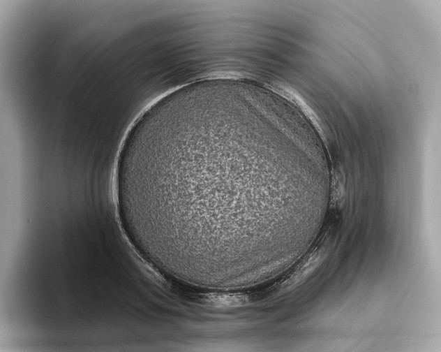 X0000093450795200710261100