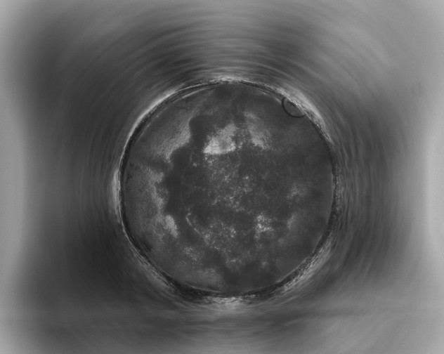 X0000093450798200710261100