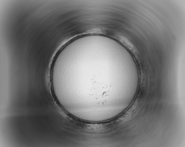 X0000093450800200710261100