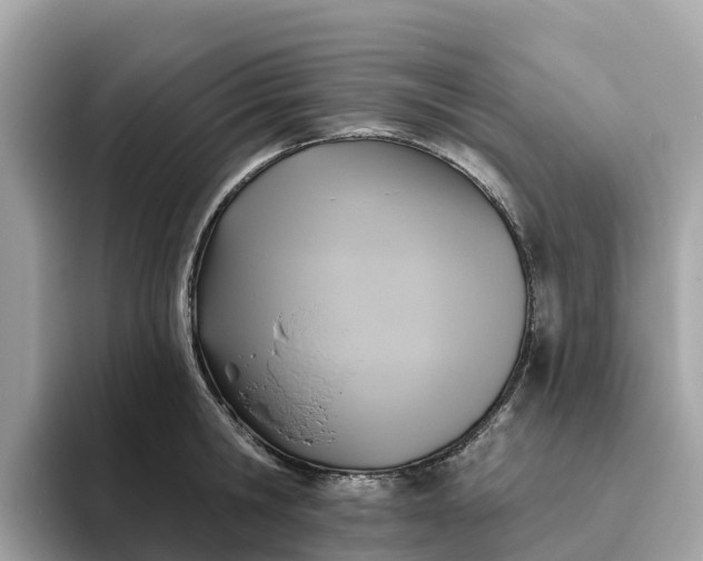 X0000093450806200710261100