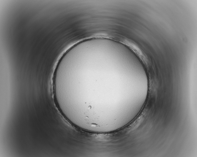 X0000093450808200710261100