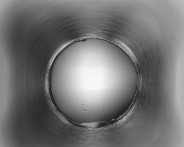 X0000093450812200710261100