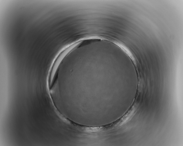 X0000093450813200710261100