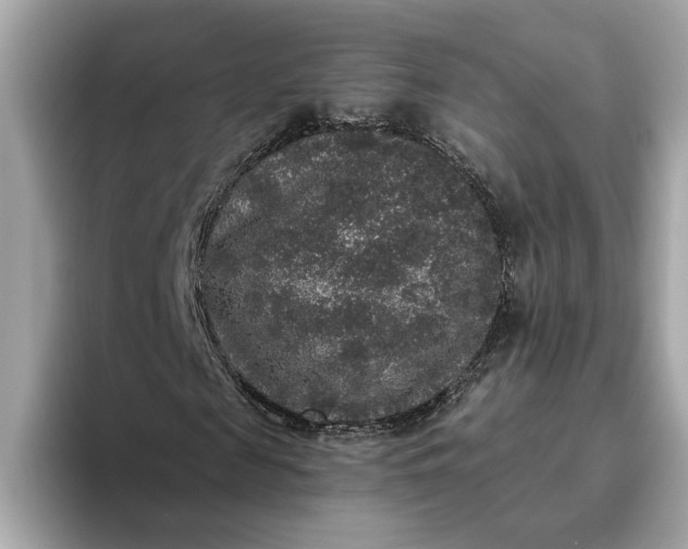 X0000093450817200710261059