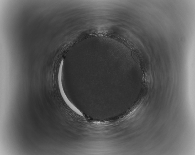 X0000093450818200710261059