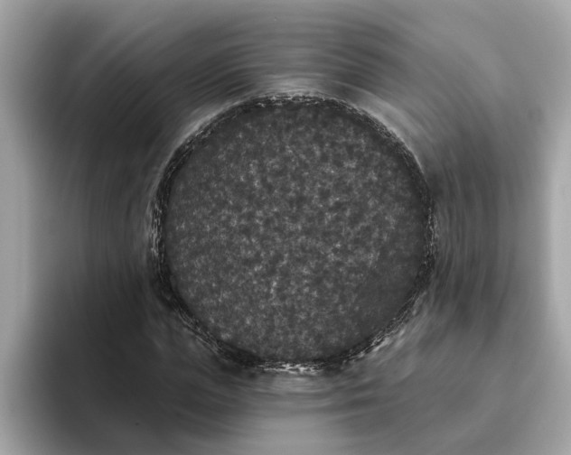 X0000093450823200710261059