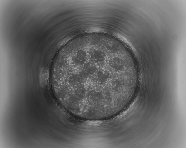 X0000093450825200710261059